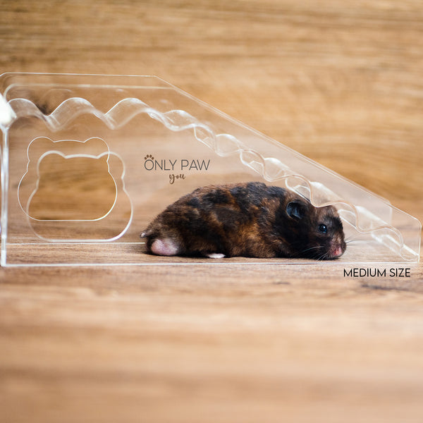 Load image into Gallery viewer, 2-in-1: Acrylic Hideout &amp; Stairs for Hamsters
