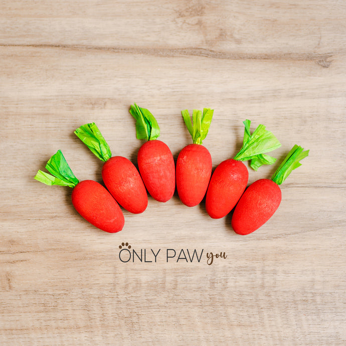 Wooden Carrot Chew Toy | Red