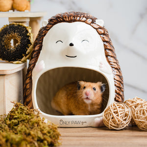 Willow the Hedgehog Ceramic Hideout