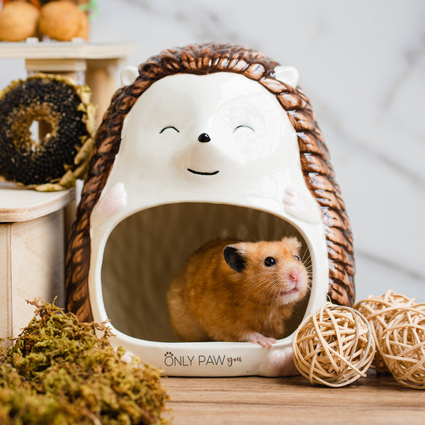 Load image into Gallery viewer, Willow the Hedgehog Ceramic Hideout
