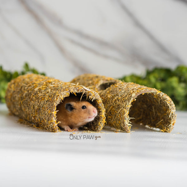 Load image into Gallery viewer, Niteangel Marigold Giant Tunnel for hamsters
