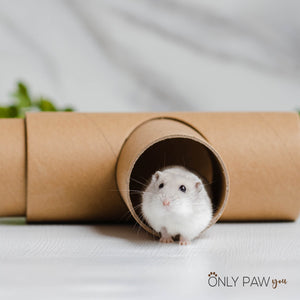 Niteangel Tunnel Set for hamsters