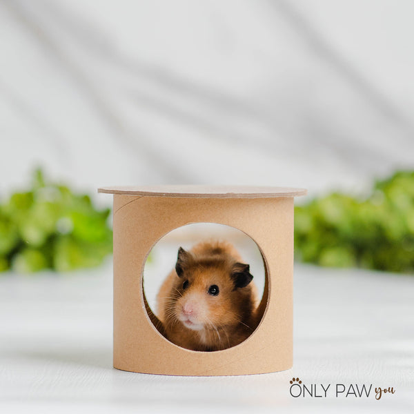 Load image into Gallery viewer, Niteangel Tunnel Set Set of 5 for hamsters
