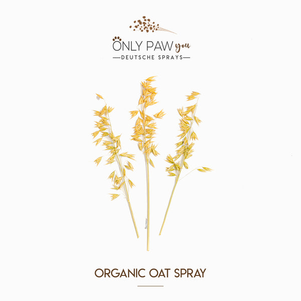 Load image into Gallery viewer, Organic Oat Spray
