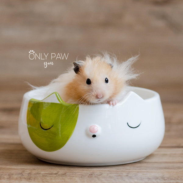 Load image into Gallery viewer, Oh! Sand Bowl for hamsters
