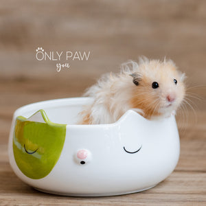 Oh! Sand Bowl for hamsters