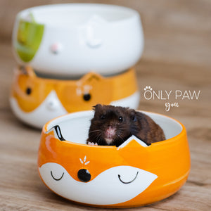 Oh! Sand Bowl for hamsters