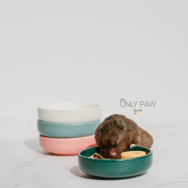 Load image into Gallery viewer, Glazed Circular Ceramic Food Dish for hamsters
