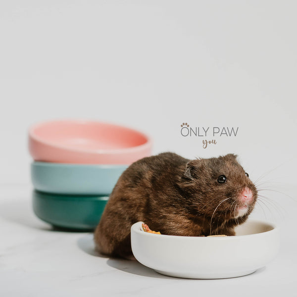 Load image into Gallery viewer, Glazed Circular Ceramic Food Dish for hamsters

