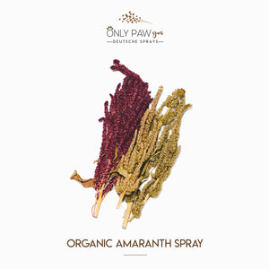 Organic Amaranth Spray