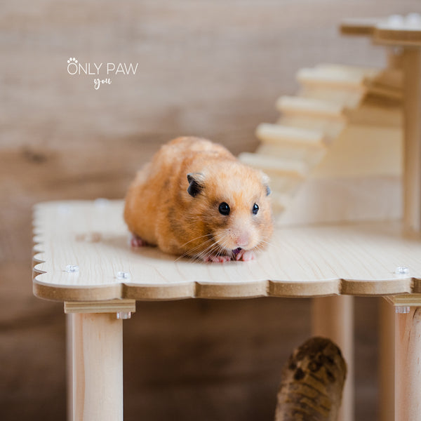 Load image into Gallery viewer, Multi-Shape Wooden Platform for hamsters
