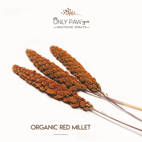 Load image into Gallery viewer, Organic Red Millet
