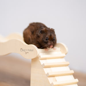 Wavy-sided Wooden Stairs for Hamsters