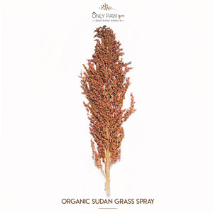 Organic Sudan Grass Spray