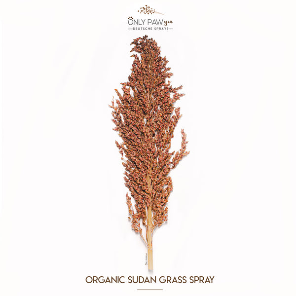 Load image into Gallery viewer, Organic Sudan Grass Spray

