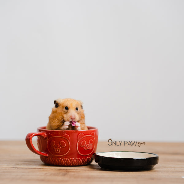 Load image into Gallery viewer, Two is better than one - Cup &amp; Food Dish for hamsters
