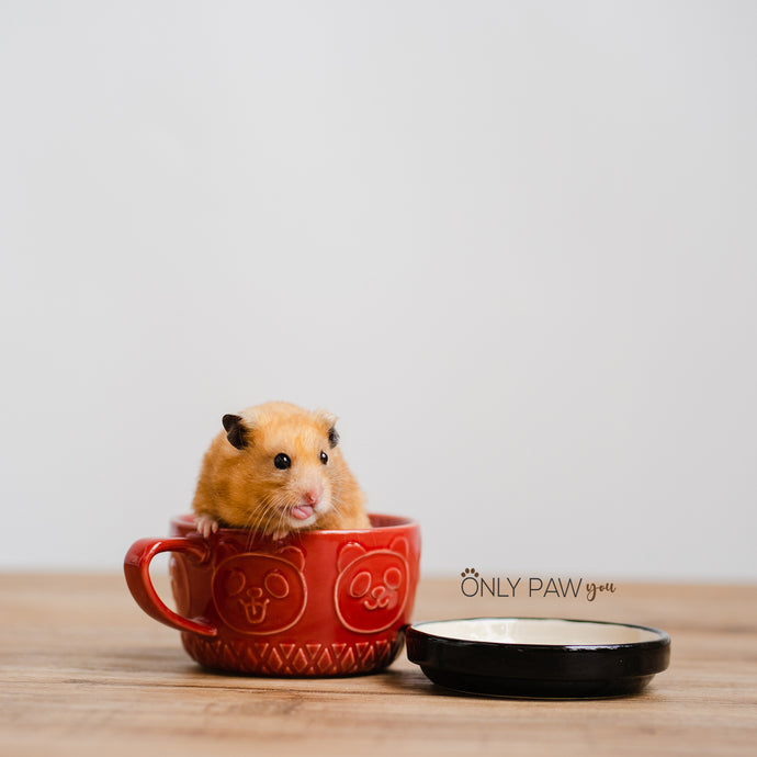 Two is better than one - Cup & Food Dish for hamsters