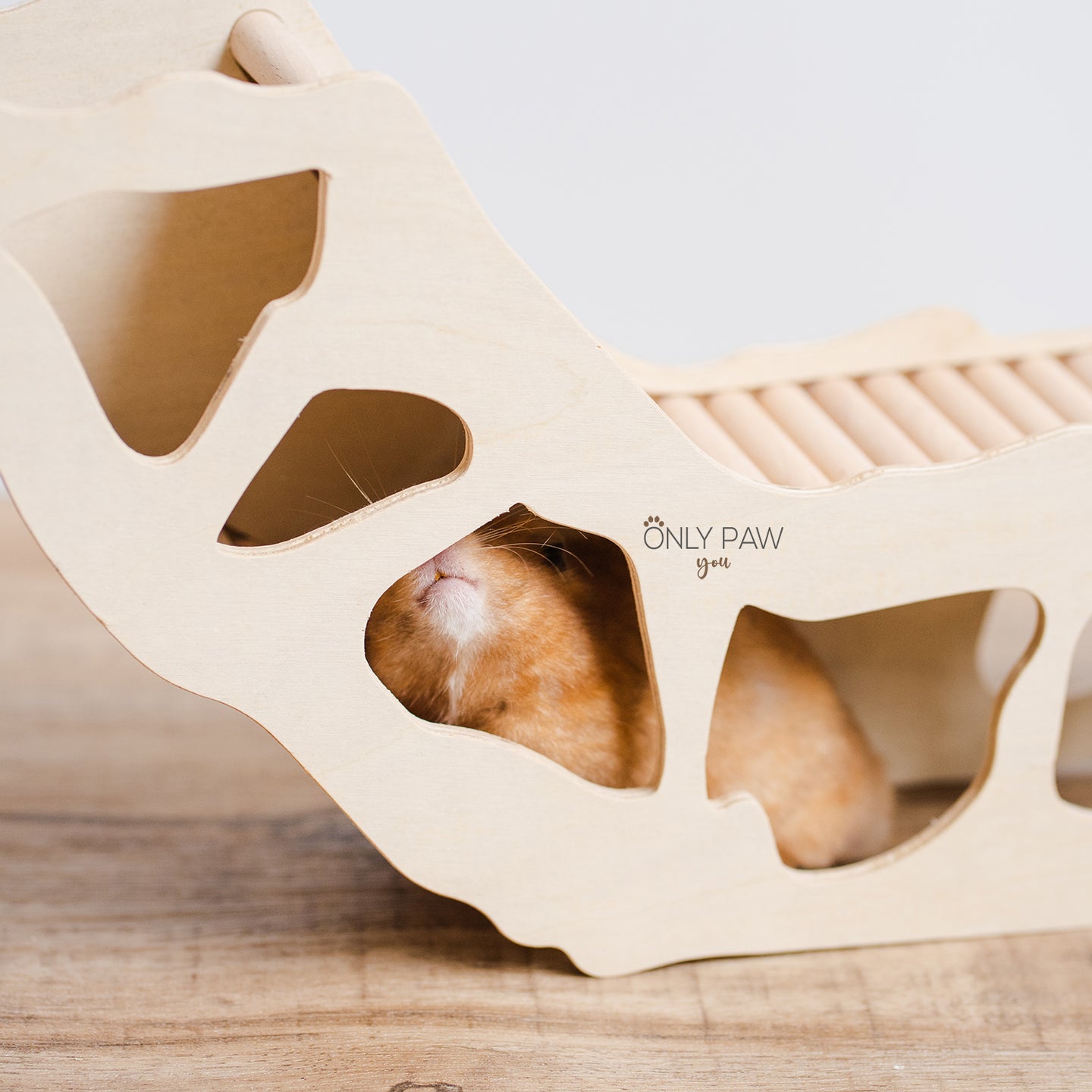 Under & Over Tunnel-Bridge for hamsters