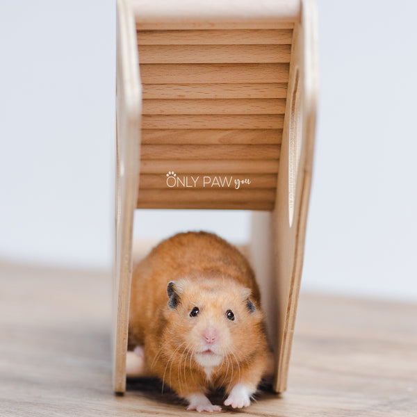 Load image into Gallery viewer, Under &amp; Over Tunnel-Bridge for hamsters
