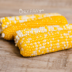 Yellow Corn Cob | 1 Piece