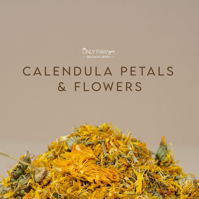 Calendula Petals & Flowers