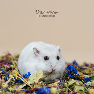 Dwarf Hamster Botanical Seed Mix,hamster food