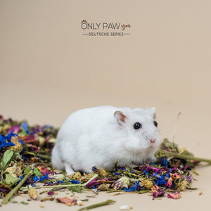 Dwarf Hamster Botanical Seed Mix, hamster food
