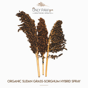 Organic Sudan Grass-Sorghum Hybrid Spray