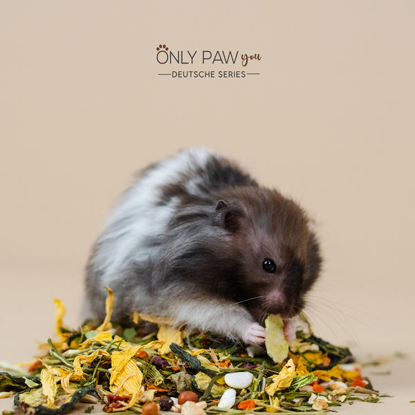 Load image into Gallery viewer, Syrian Hamster Vegetable Seed Mix, hamster food
